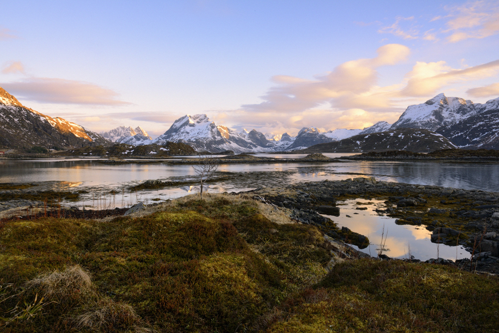 Lofoten Dreams