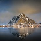 Lofoten-Fever