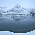 Lofoten: Fjord Spiegelung