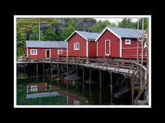 Lofoten-Flakstadøy 114