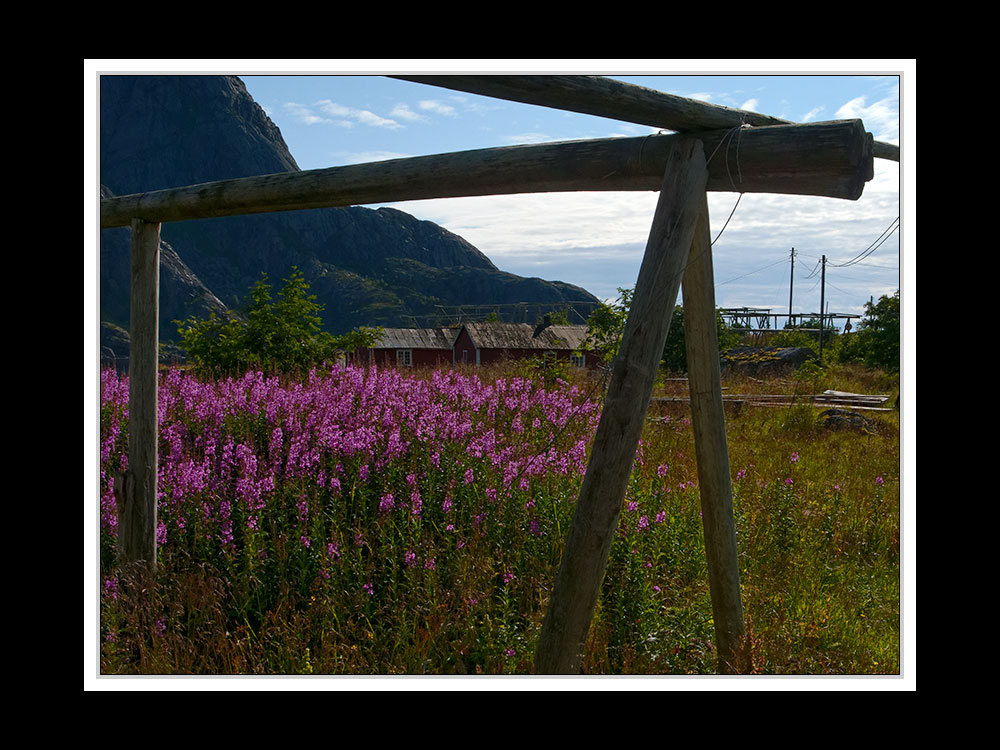 Lofoten-Flakstadøy 124