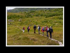 Lofoten-Flakstadøy 156