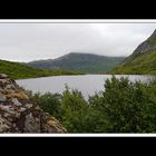 Lofoten-Flakstadøy 158