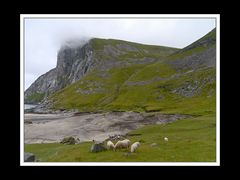 Lofoten-Flakstadøy 174