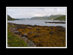 Lofoten-Flakstadøy 179