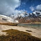 Lofoten - Gestrandet