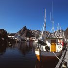 Lofoten - Hamnøy