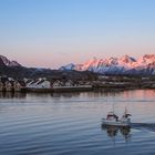 Lofoten II