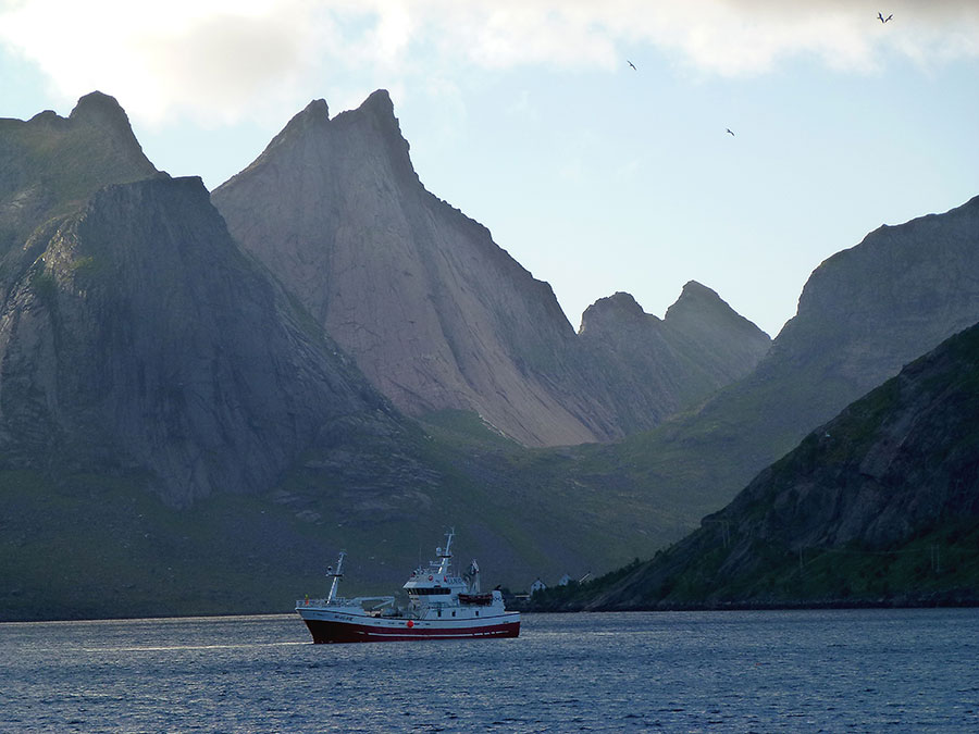 Lofoten II