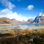 Lofoten II