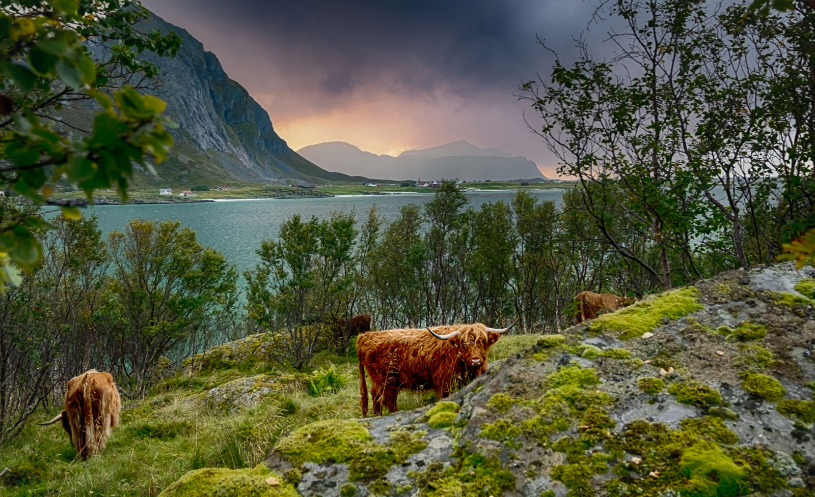 Lofoten II überarbeitet