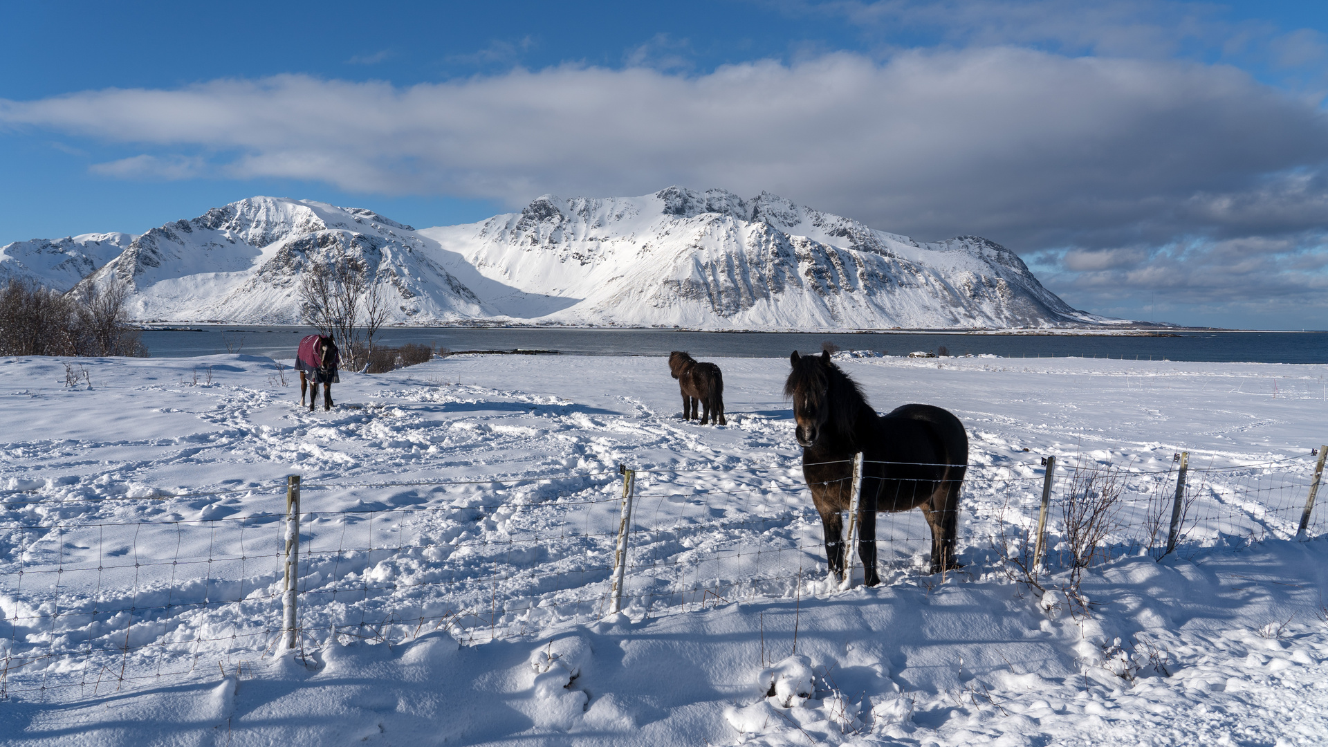 Lofoten-Impressionen 18