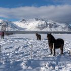 Lofoten-Impressionen 18