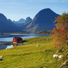 Lofoten - Impressions of the Fredvang Fjord