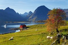 Lofoten - Impressions of the Fredvang Fjord