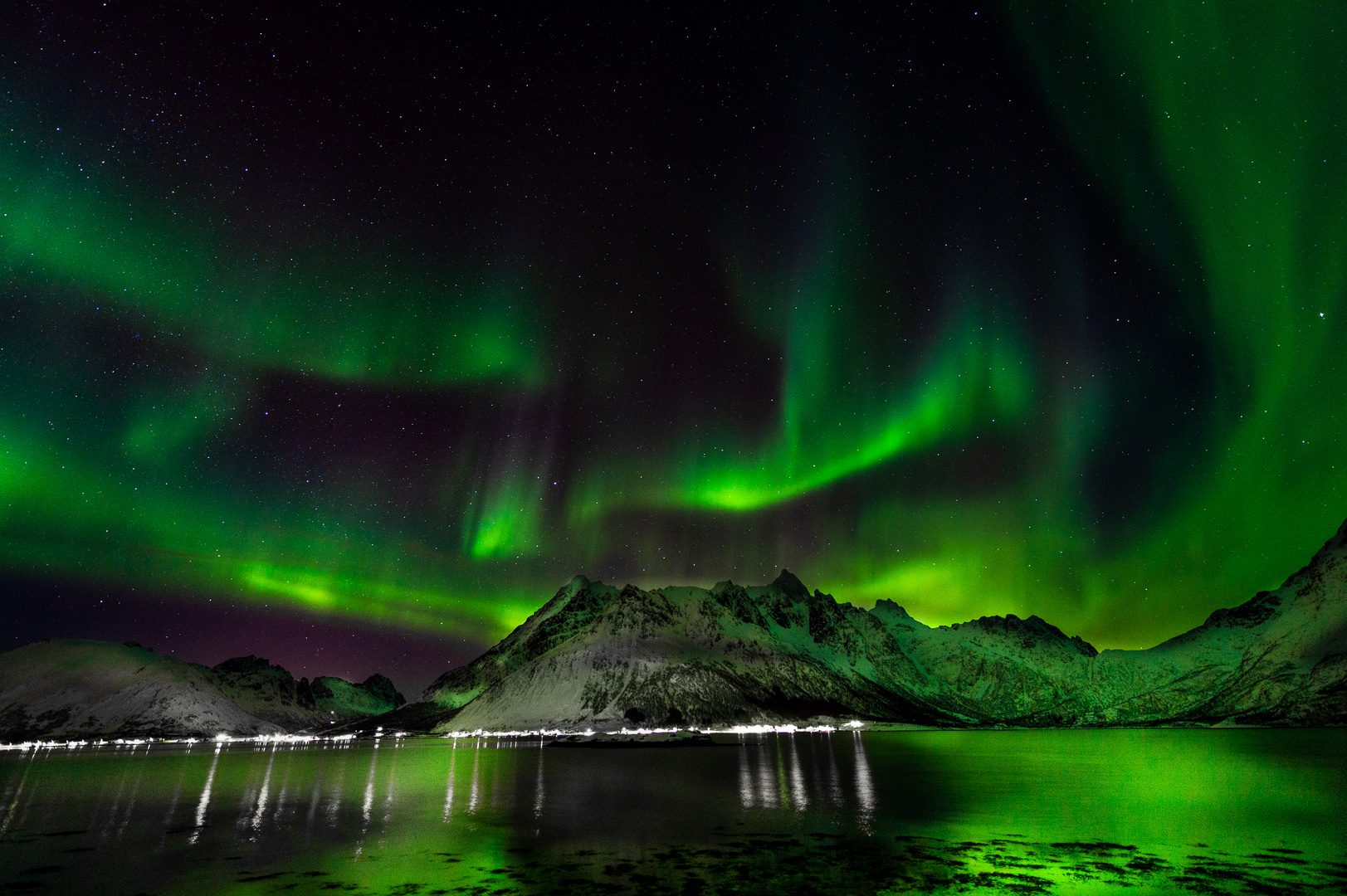 Lofoten in Grün