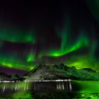 Lofoten in Grün