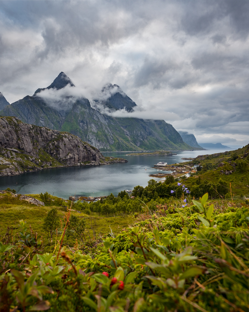 Lofoten Landscape