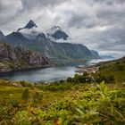 Lofoten Landscape