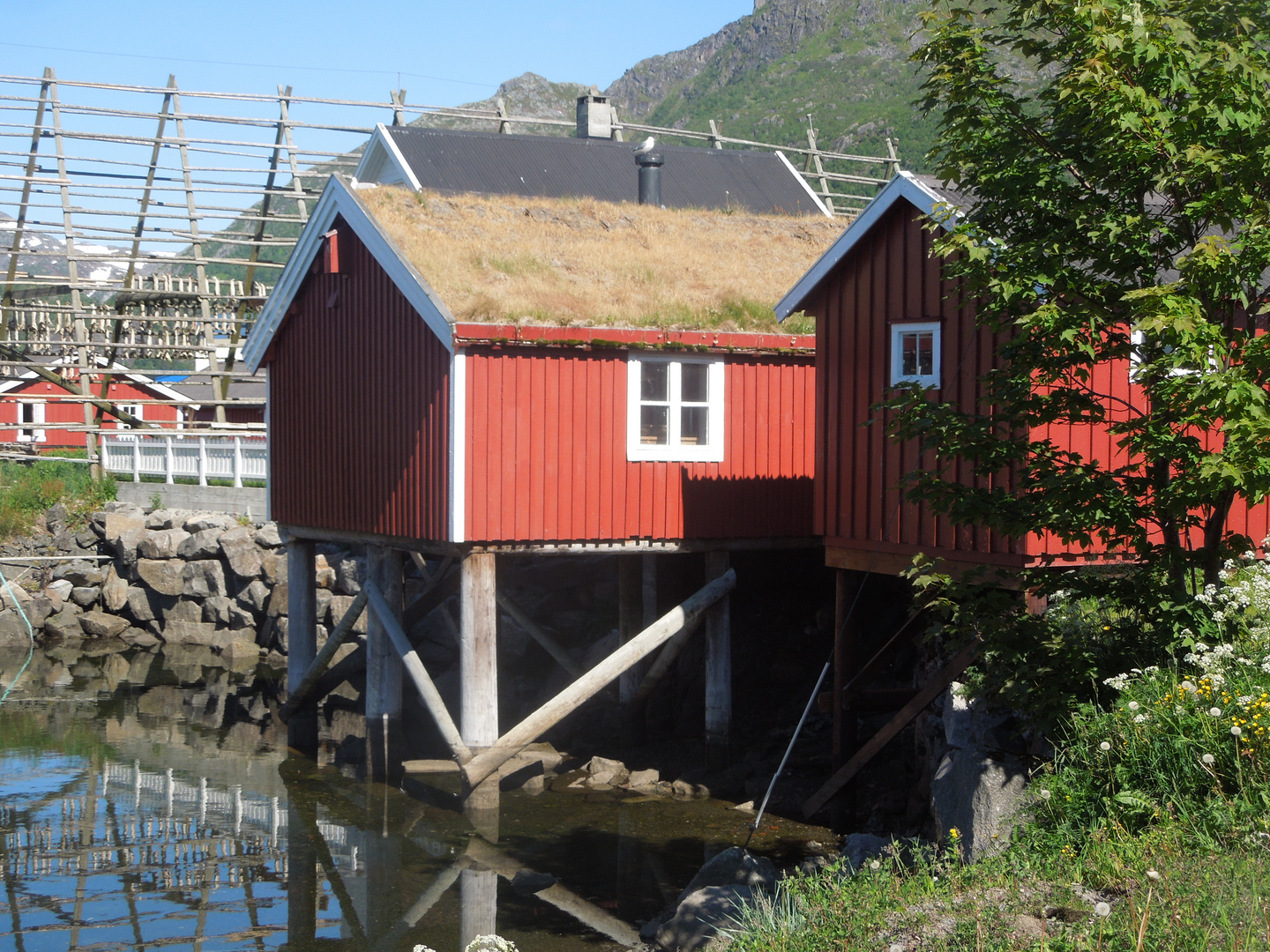 Lofoten Landschaft 12