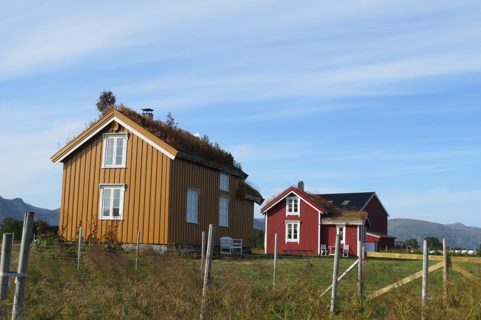 Lofoten Landschaft 19