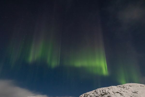 Lofoten lights