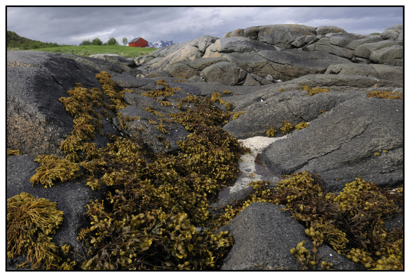 Lofoten Mai 2011-23