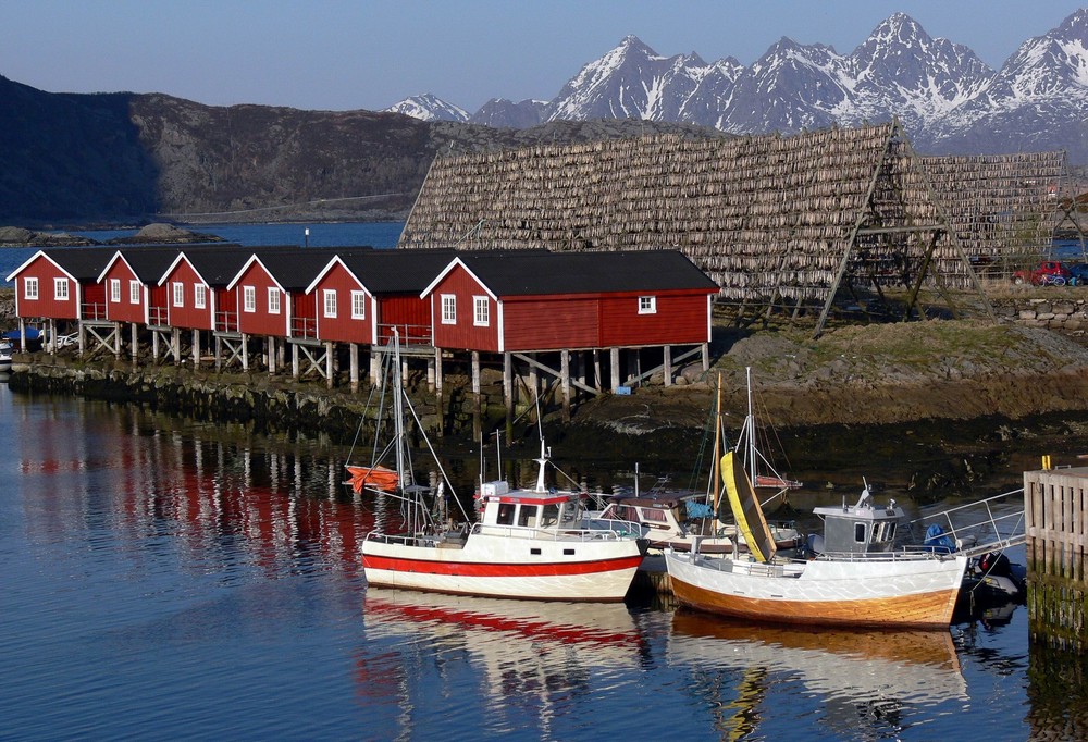 Lofoten, mit dem Rücken zum Wind...