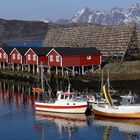 Lofoten, mit dem Rücken zum Wind...