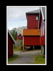 Lofoten-Moskenesøy 199