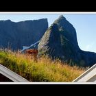 Lofoten-Moskenesøy 210