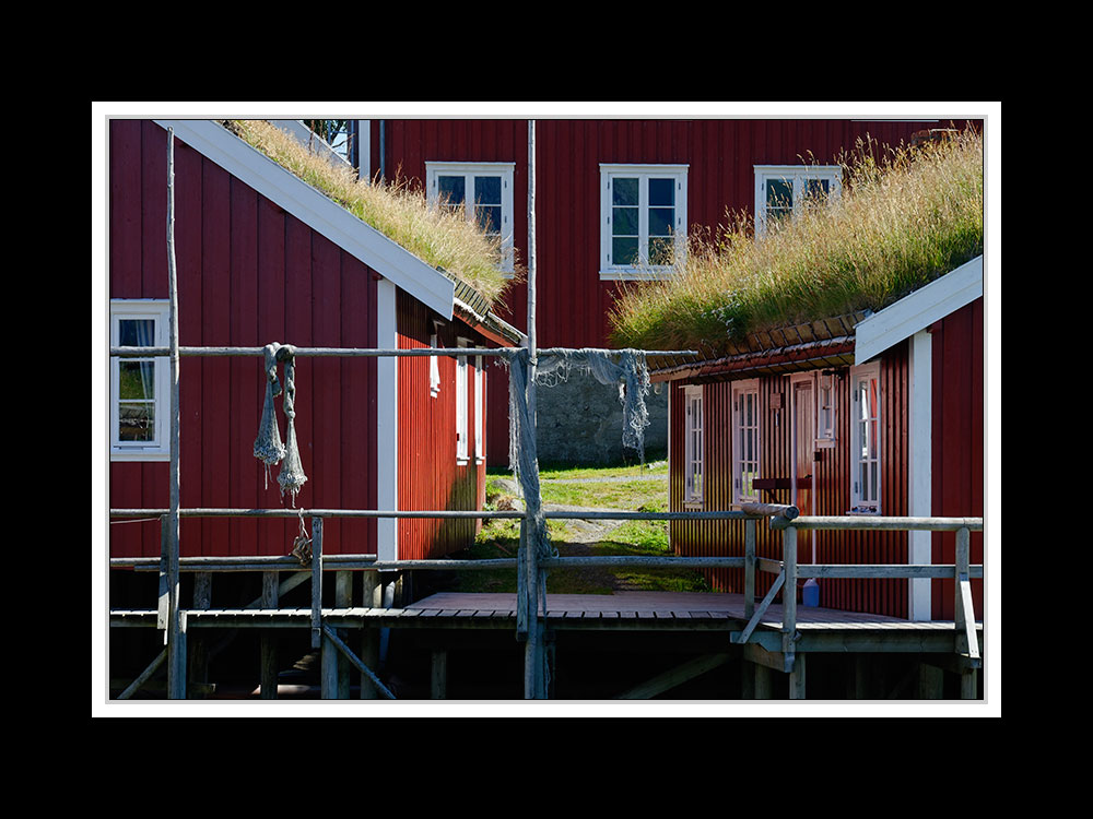 Lofoten-Moskenesøy 215