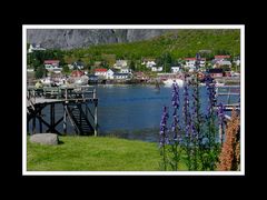 Lofoten-Moskenesøy 217