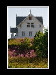 Lofoten-Moskenesøy 240