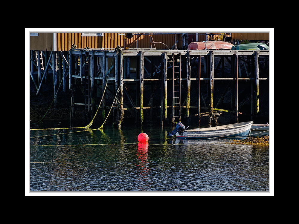 Lofoten-Moskenesøy 245