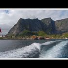 Lofoten-Moskenesøy 256