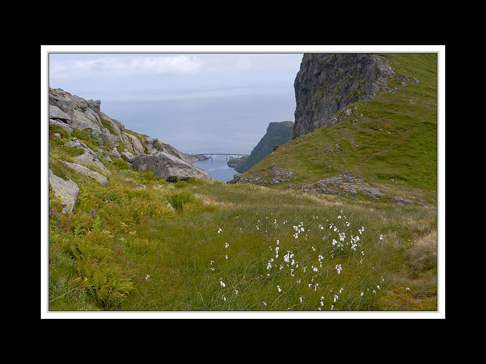 Lofoten-Moskenesøy 275