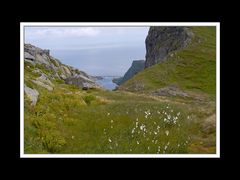 Lofoten-Moskenesøy 275