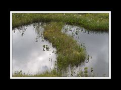 Lofoten-Moskenesøy 280