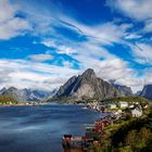 Lofoten / Natur