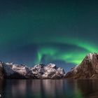 Lofoten Nights