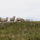 Lofoten - no comment - ohne Kommentar 