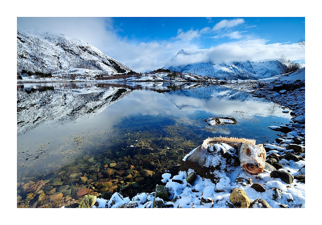 Lofoten / Norwegen