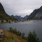 Lofoten       P8220364 