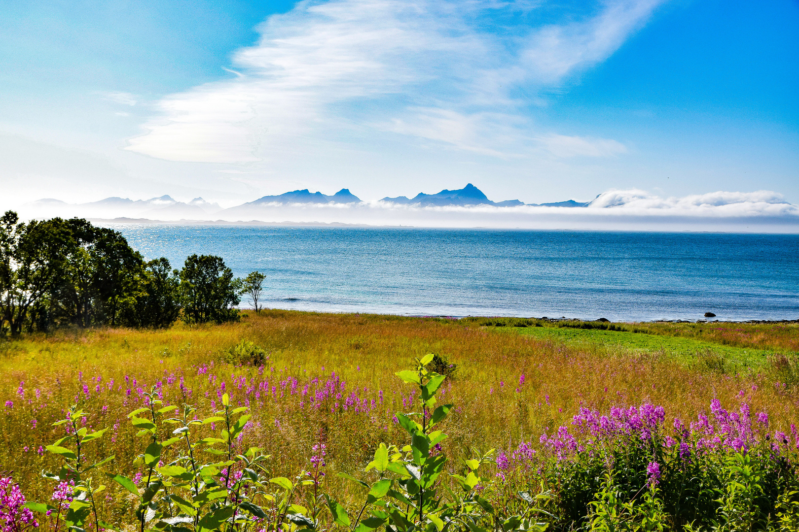 Lofoten panorama 