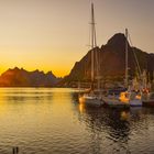 Lofoten Panorama golden lite