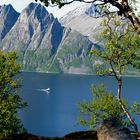 Lofoten pur