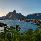 Lofoten Reine 20