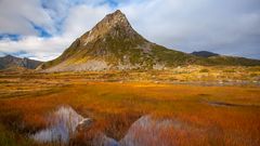 Lofoten reloaded