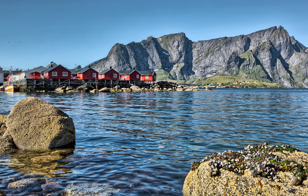 Lofoten Roerbuer